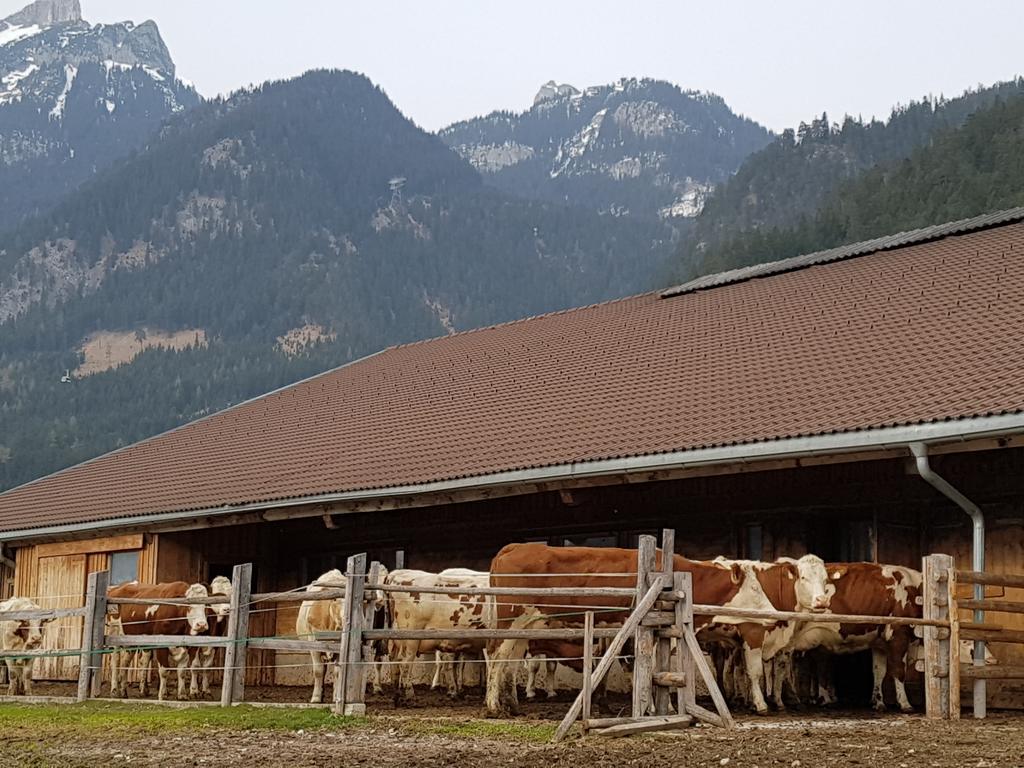 Haidacherhof Eben am Achensee 外观 照片